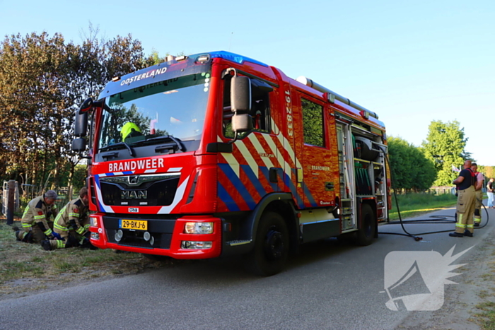Bomen en pipowagen in brand