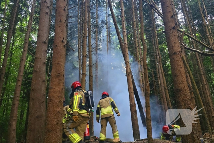 Brandweer ingezet voor bosbrand