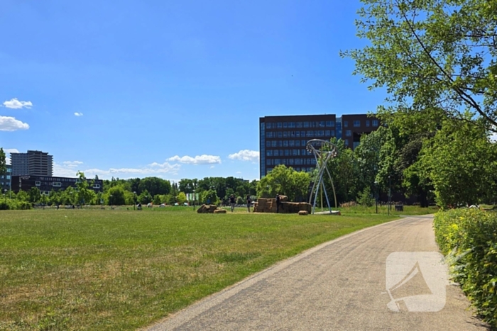 Onrust tijdens pro Palestina demonstratie op universiteitscampus