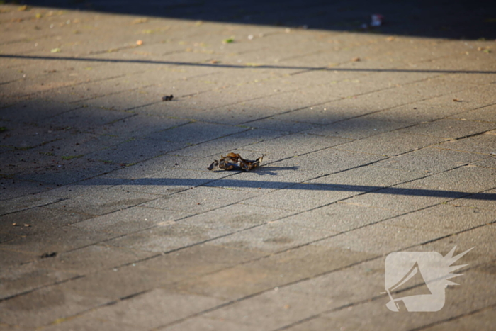 Opnieuw incident bij woning