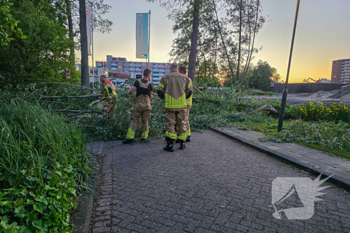 Brandweer ingezet voor boom over de weg