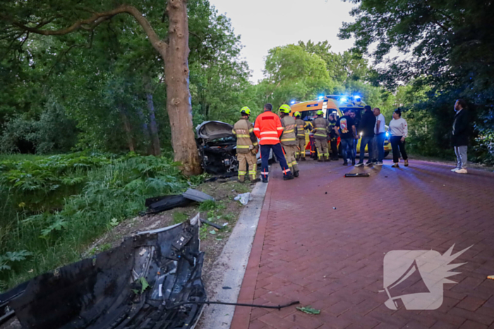 Gewonden nadat auto tegen boom klapt