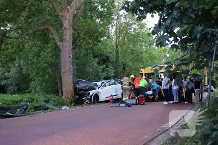 Gewonden nadat auto tegen boom klapt
