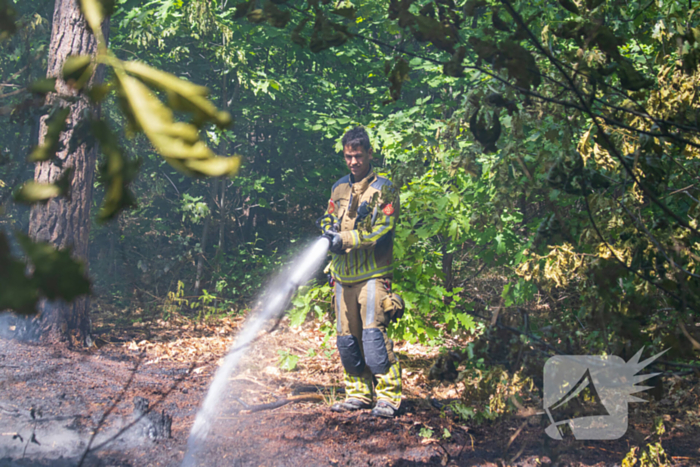 Brand in natuurgebied in de kiem gesmoord