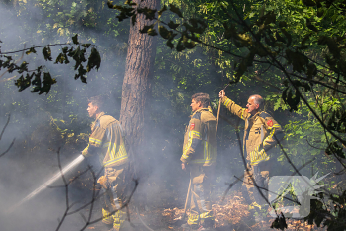Brand in natuurgebied in de kiem gesmoord