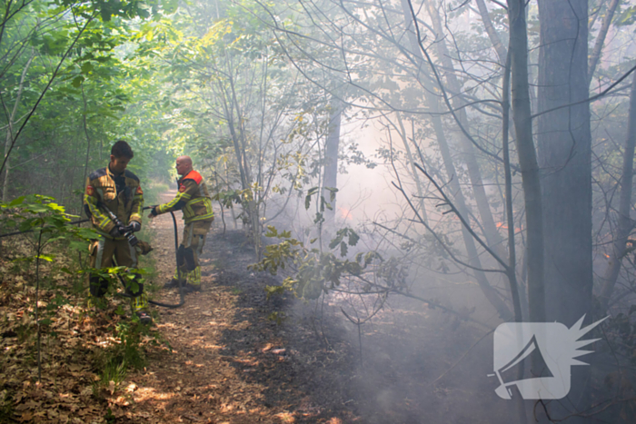 Brand in natuurgebied in de kiem gesmoord