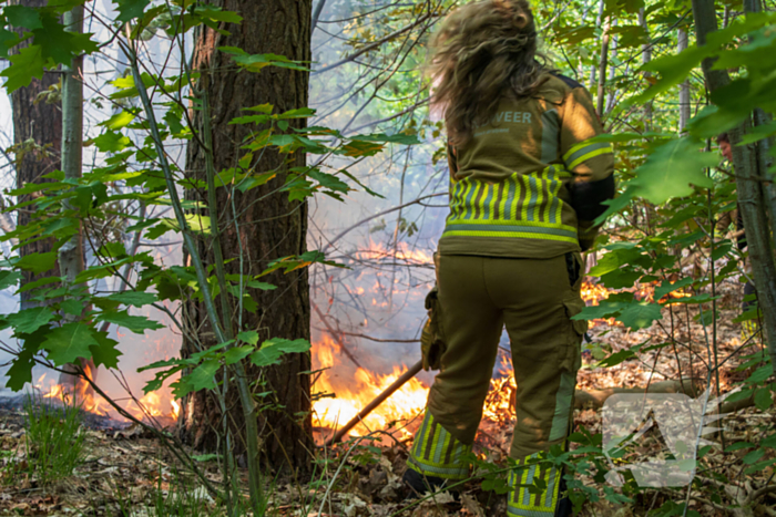 Brand in natuurgebied in de kiem gesmoord