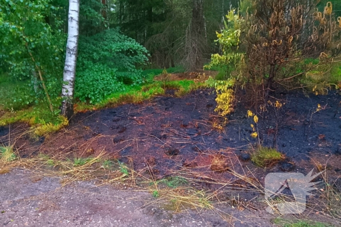 Brand in bosgebied door brandweer geblust