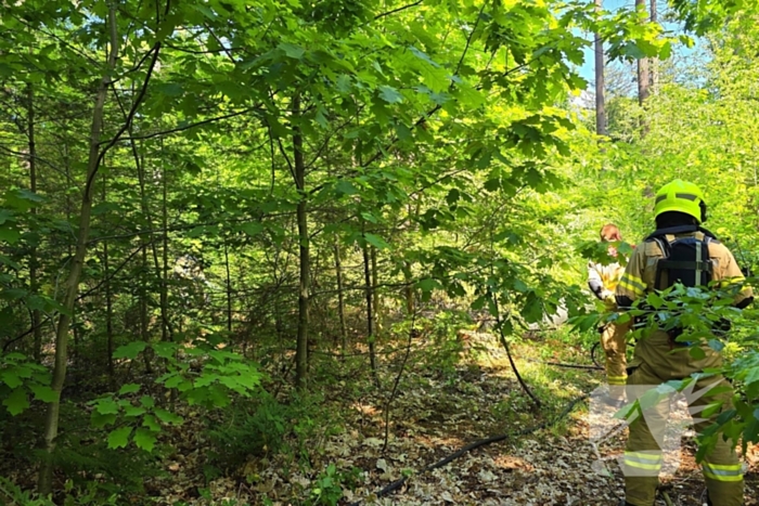 Grote brandweerinzet bij bosbrand