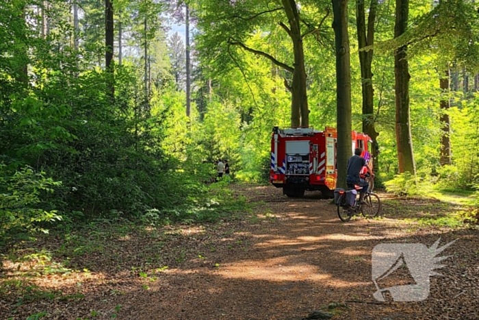 Grote brandweerinzet bij bosbrand