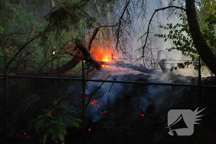 Brand in bos zorgt voor inzet brandweer