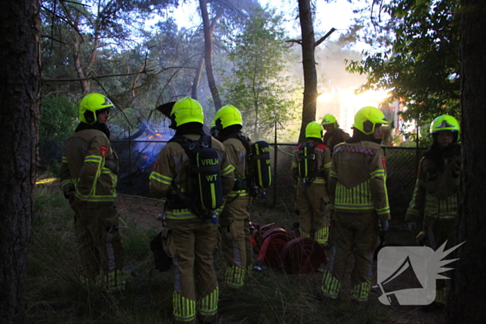 Brand in bos zorgt voor inzet brandweer