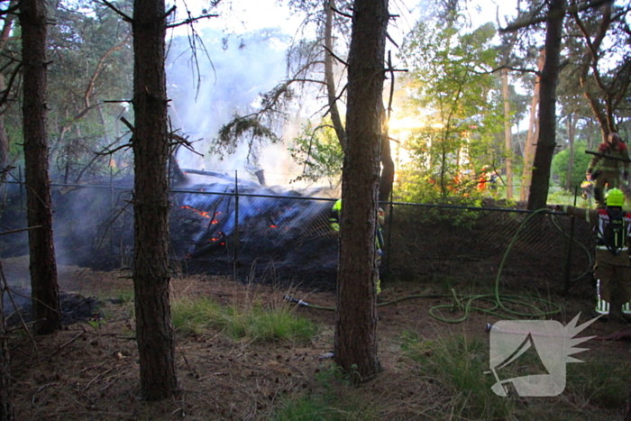 Brand in bos zorgt voor inzet brandweer