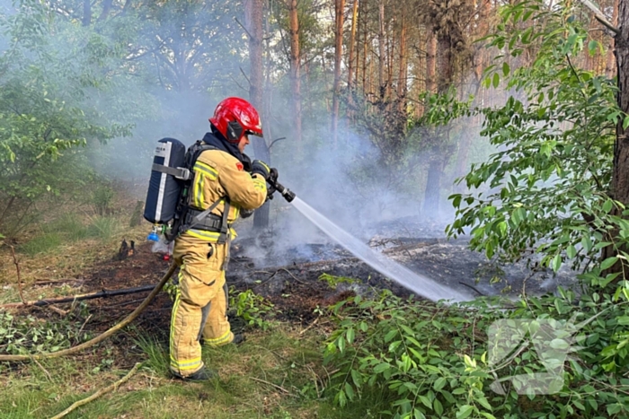 Oplettende voorbijgangers ontdekken bosbrand