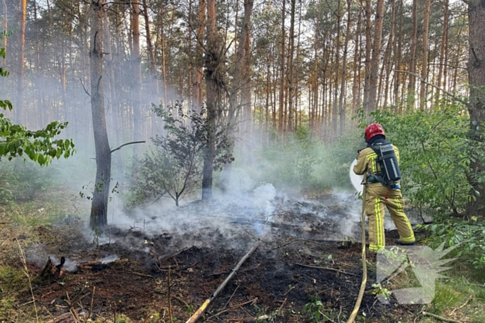 Oplettende voorbijgangers ontdekken bosbrand