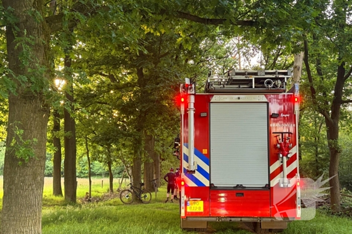 Oplettende voorbijgangers ontdekken bosbrand