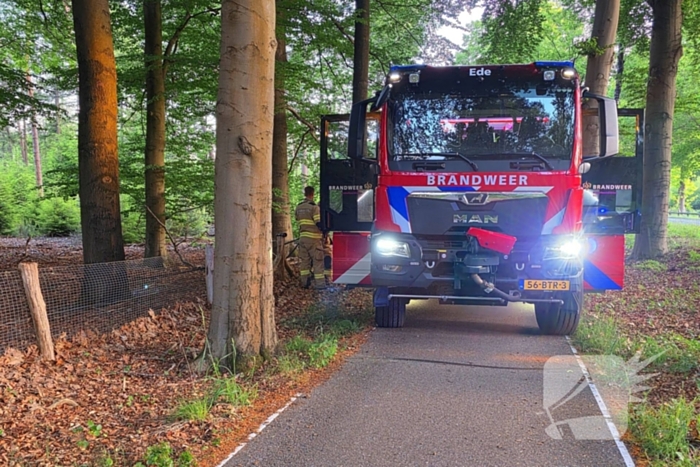 Ruiters ontdekken beginnende bosbrand