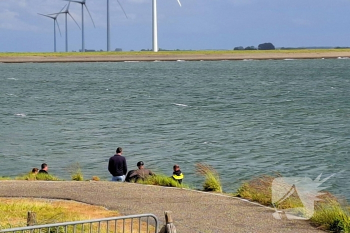 Duiker omgekomen na incident