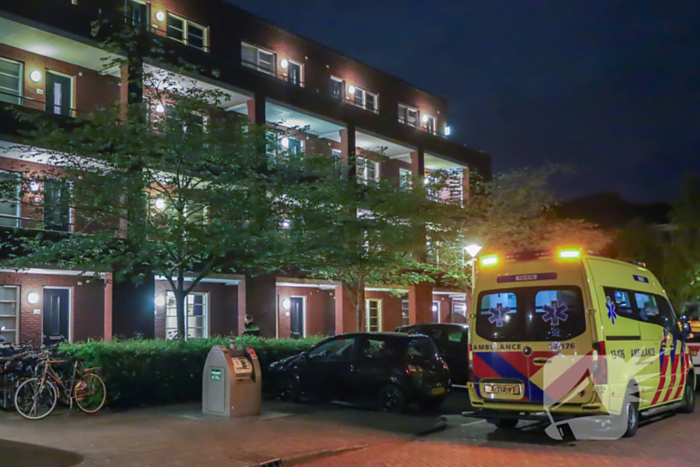 Steekincident leidt tot lichtgewonde