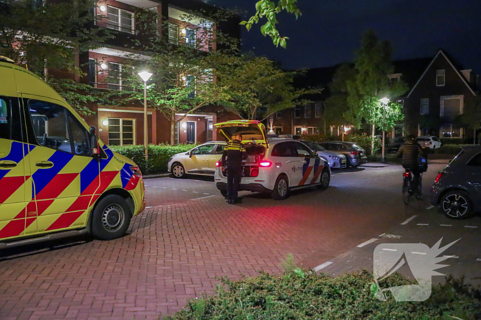 Steekincident leidt tot lichtgewonde