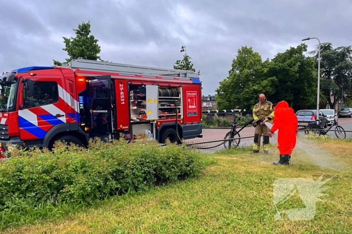 Brandweer redt vastzittende eendjes