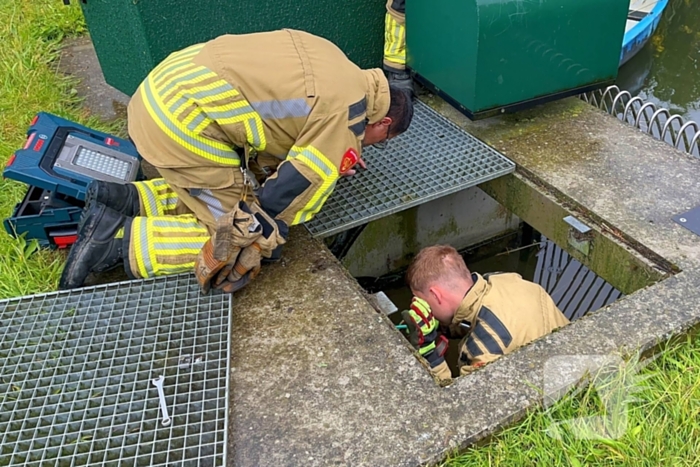 Brandweer redt vastzittende eendjes