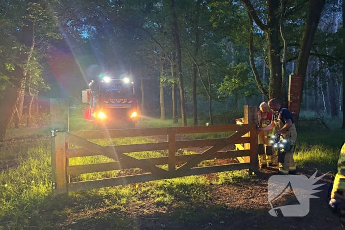 Wandelaars alert bij aantreffen kalf