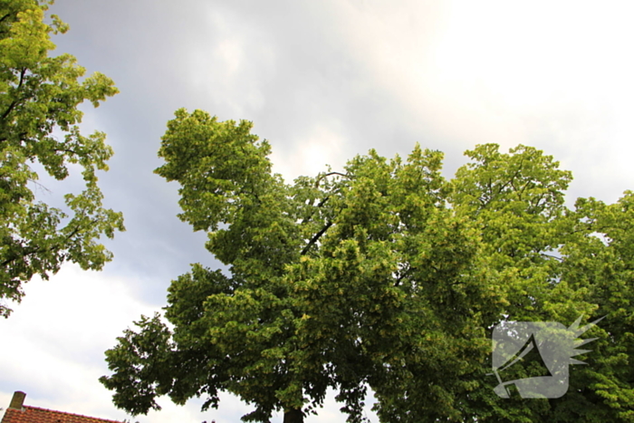 Noodweer zorgt voor meerdere stormschades