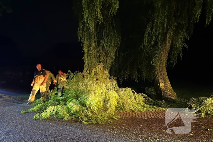 Grote boomtak blokkeert weg