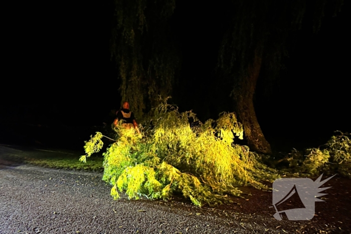 Grote boomtak blokkeert weg