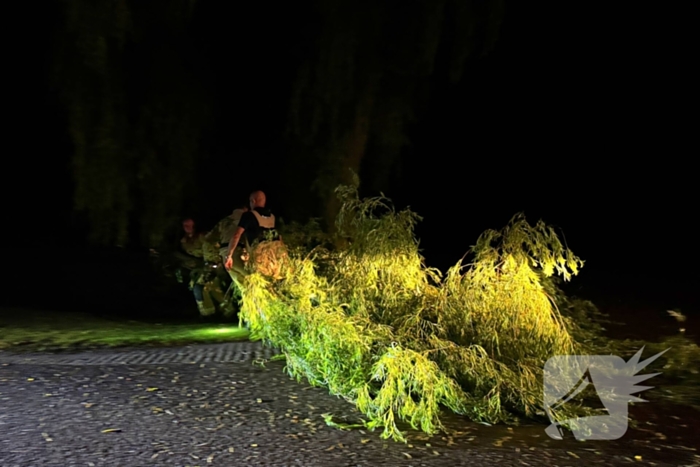 Grote boomtak blokkeert weg