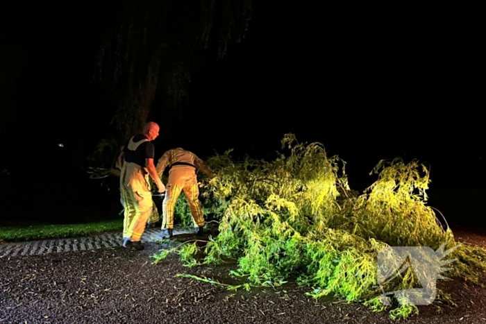 Grote boomtak blokkeert weg