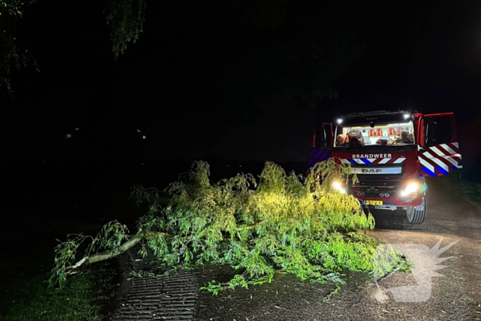Grote boomtak blokkeert weg