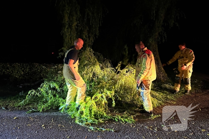 Grote boomtak blokkeert weg