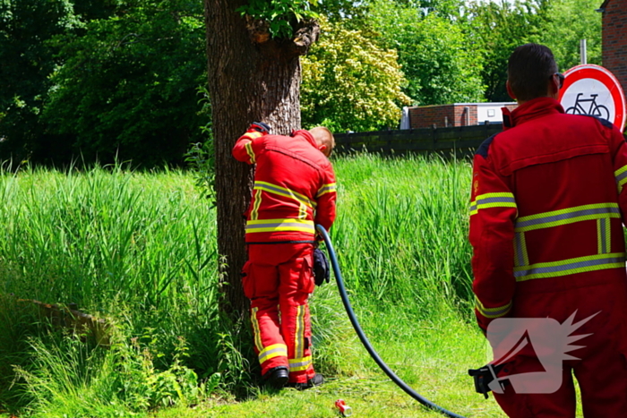 Sigaret oorzaak boombrand