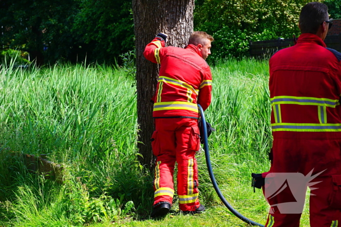 Sigaret oorzaak boombrand