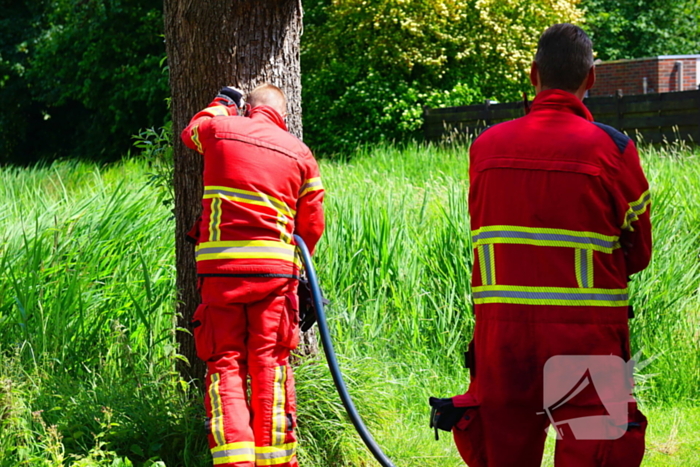 Sigaret oorzaak boombrand