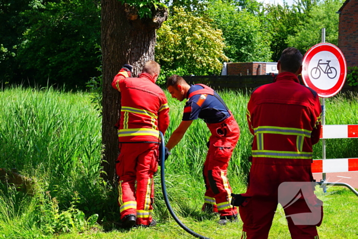 Sigaret oorzaak boombrand