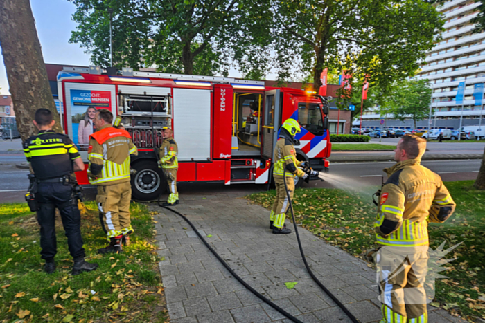 Kleine brand geblust bij barbecue