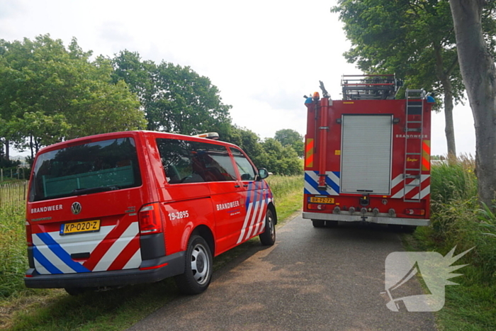 Paarden gered bij uitslaande brand