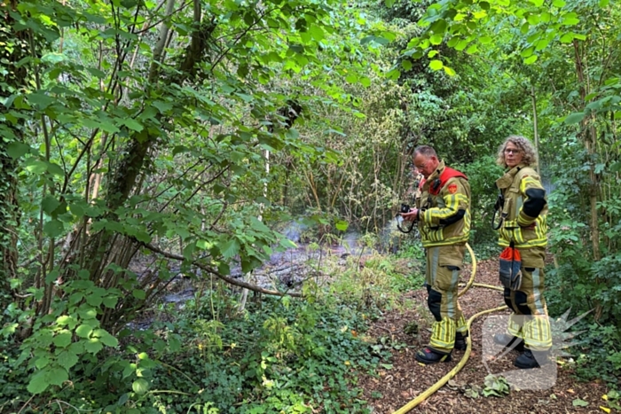 Brand in bosschages om onbekende oorzaak