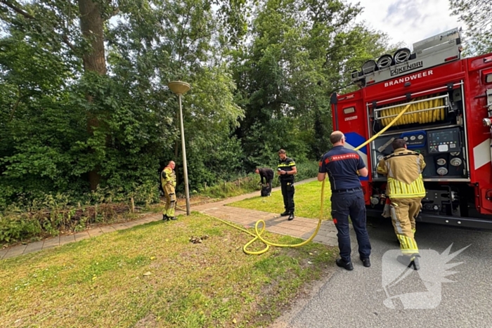 Brand in bosschages om onbekende oorzaak