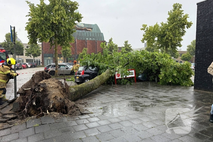 Boom valt op auto's, geen gewonden