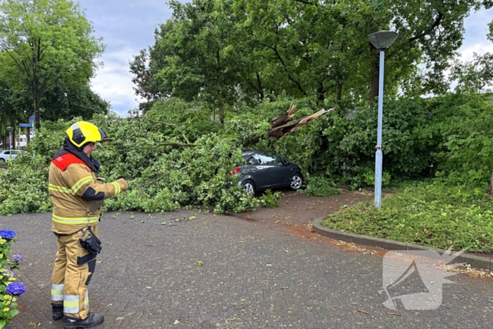 Wederom valt boom op auto
