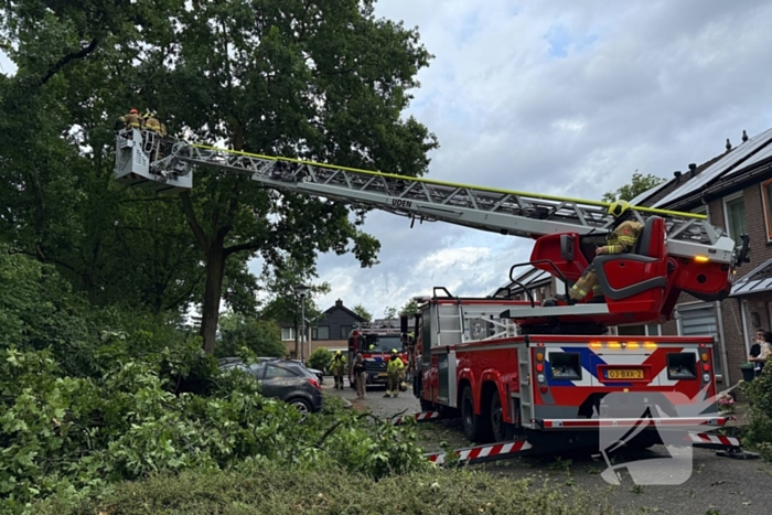 Wederom valt boom op auto