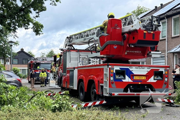 Wederom valt boom op auto
