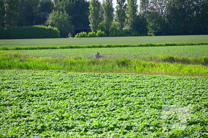Minirooimachine belandt in vaart