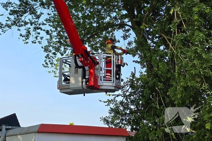 Brandweer verwijdert gevaarlijke hangende tak