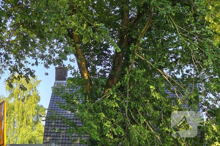 Brandweer verwijdert gevaarlijke hangende tak