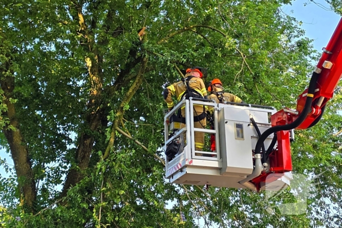 Brandweer verwijdert gevaarlijke hangende tak